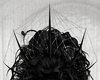 Spider & Web Crown