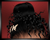 LS~CLARE BLACK