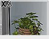 [i] Modern Planter -v1