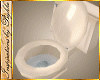 I~Pearl Toilet*Eve. News