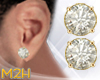 ~2~ Gold Earrings Diamon