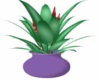 Derivable Plant