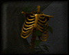 ✄ Gold Ribcage