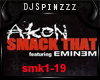 Akon Eminem Smack That