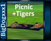 [BD]Picnic+Tigers