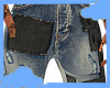 Valley denim shorts