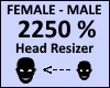 Head Scaler 2250%