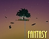 SC Fantasy or Dream?