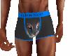 BT Blue Cat Underwear