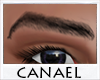 [CNL]Eyebrows black