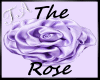TA`Shy`s Purple Rose