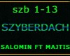 SZYBERDACH