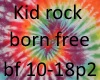 kid rock born free p2