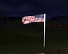 usa  flag