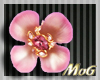 *MG*Floral Ring 
