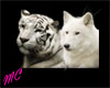 {MC}White Tigress & Wolf