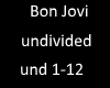Bon jovi undivided