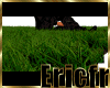 [Efr] Realistic Grass