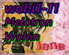 Wohi1-11/Melotron