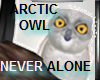 NUNAS ARCTIC OWL