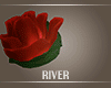 R" Amore Floating Rose