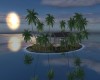 Tropical Night Island