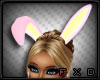 FX Dev B Bunny Ears Ani