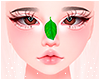 Nose leaf