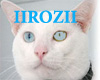 IIROZII CAT