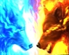 Fire And Ice Wolf Club