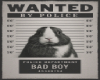 ConejoLunar Wanted