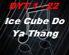 Ice Cube - Do Ya Thang