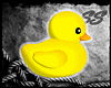 [SS] Cute Duck M/F