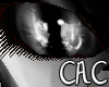 [C.A.C] TermaBot Fe Eyes