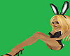 Sexy Bunny