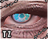✧Uni. Aqua eyes ✧