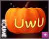 Pumpkin uwu Lantern
