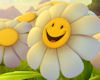 Flower Smiley Sticker