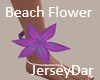 Beach Flower