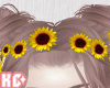 Ko ll Sunflower