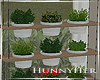 H. Hanging Plants