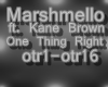 Marshmello OneThingRight