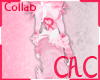 [C.A.C] CancerCure Tail3