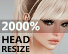 2000%Head