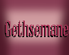eGethsemane Paws ; Fem