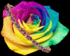 ~WT07~ Rainbow Rose