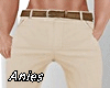 *A* Beige Pants