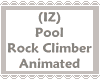 (IZ) Pool Rock Climber 