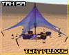 [T] Pillows Oasis Desert