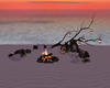 Beach Bonfire
